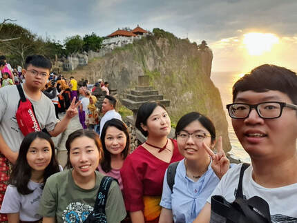 Picture